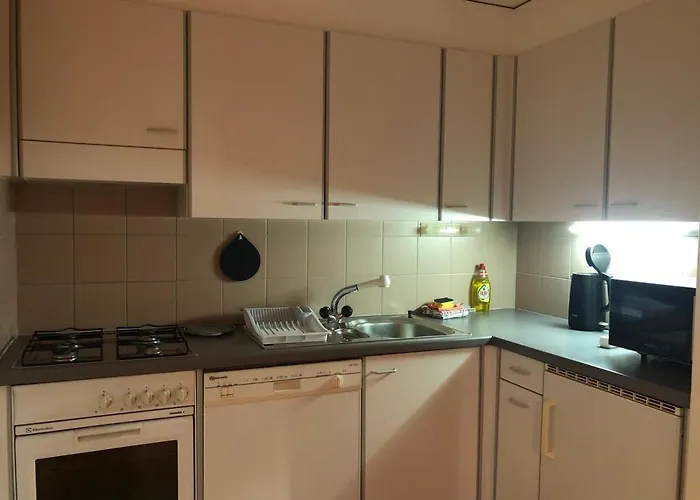 Residences Du Chamossaire * Лейсен